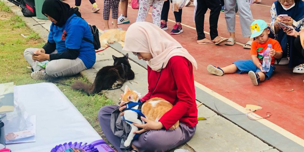 Tuban cat lovers (TUCER) saat mengadakan kegiatan temu bareng di GOR Rangga Jaya Anoraga Tuban, Selasa (7/1)