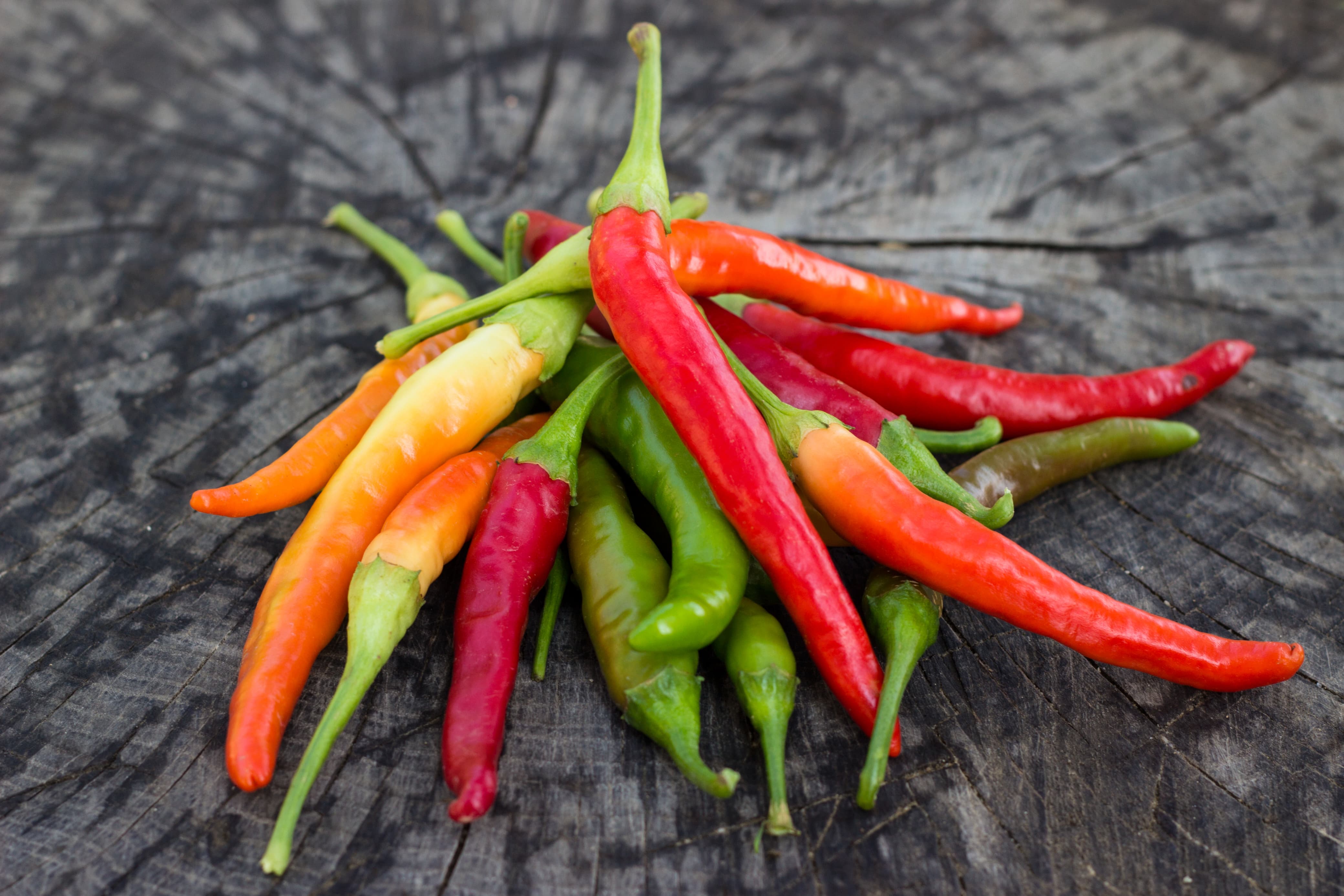 Harga cabai meroket hingga setara daging sapi