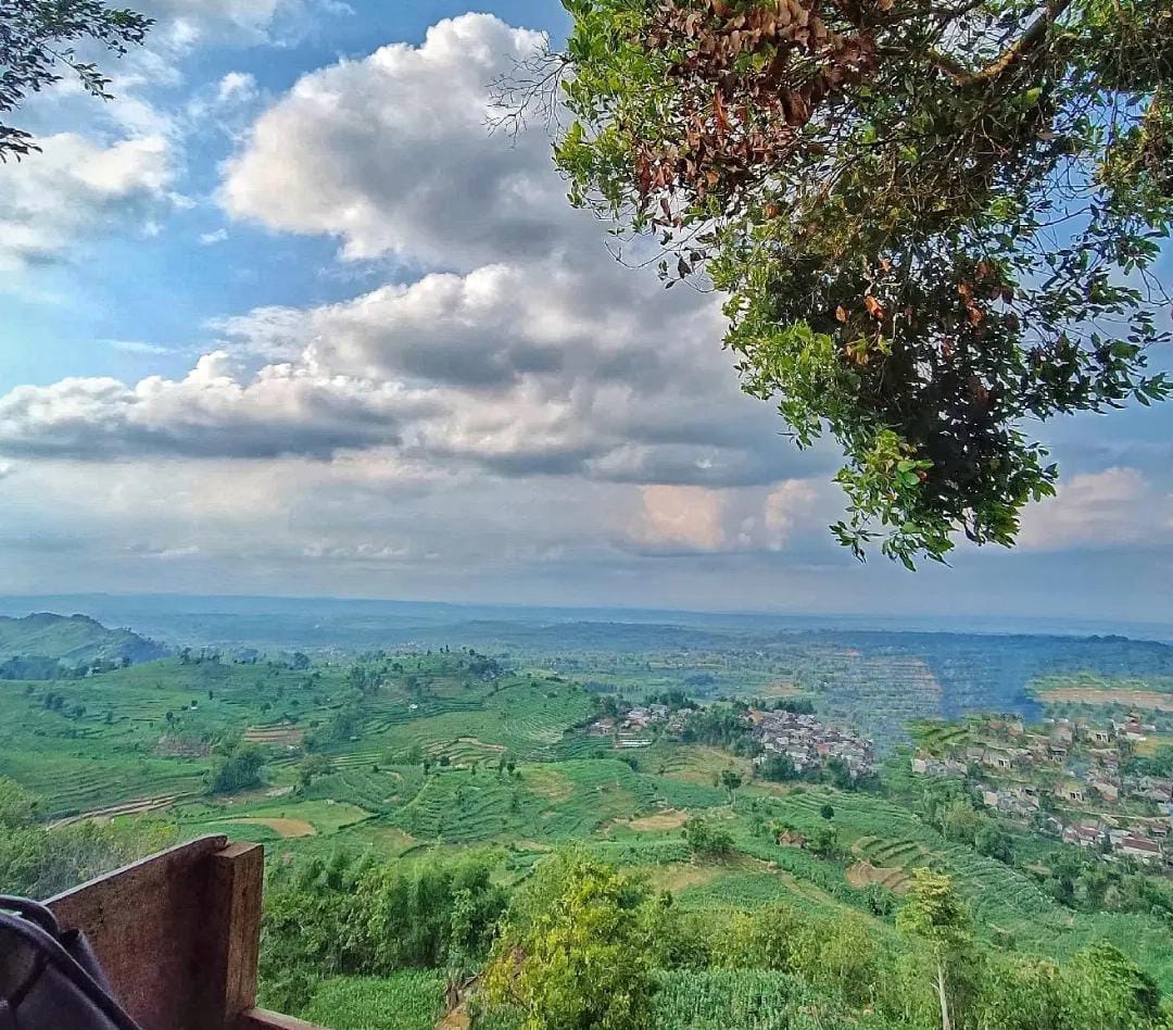 Pemandangan dari Puncak Rengit, Tuban.