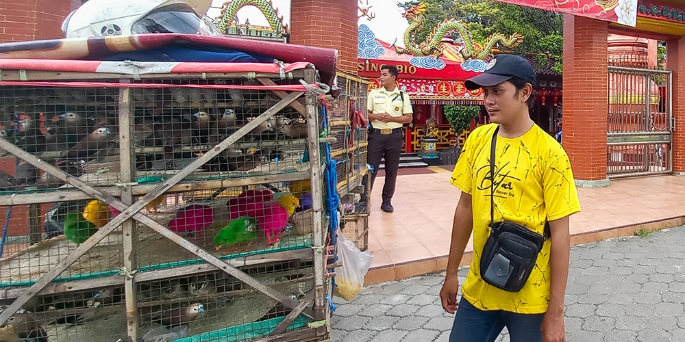 Pedagang burung pipit sedang memeriksa dagangannya sebelum diserbu oleh jemaat TITD Klenteng Kwan Sing Bio, Rabu (29/1).