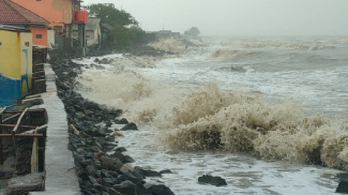 ilustrasi banjir rob