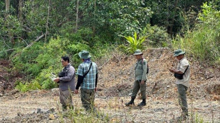 Kawasan Hutan Taman Nasional Bukit Tigapuluh