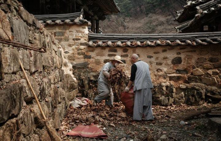 Kebakaran hutan di Korea Selatan