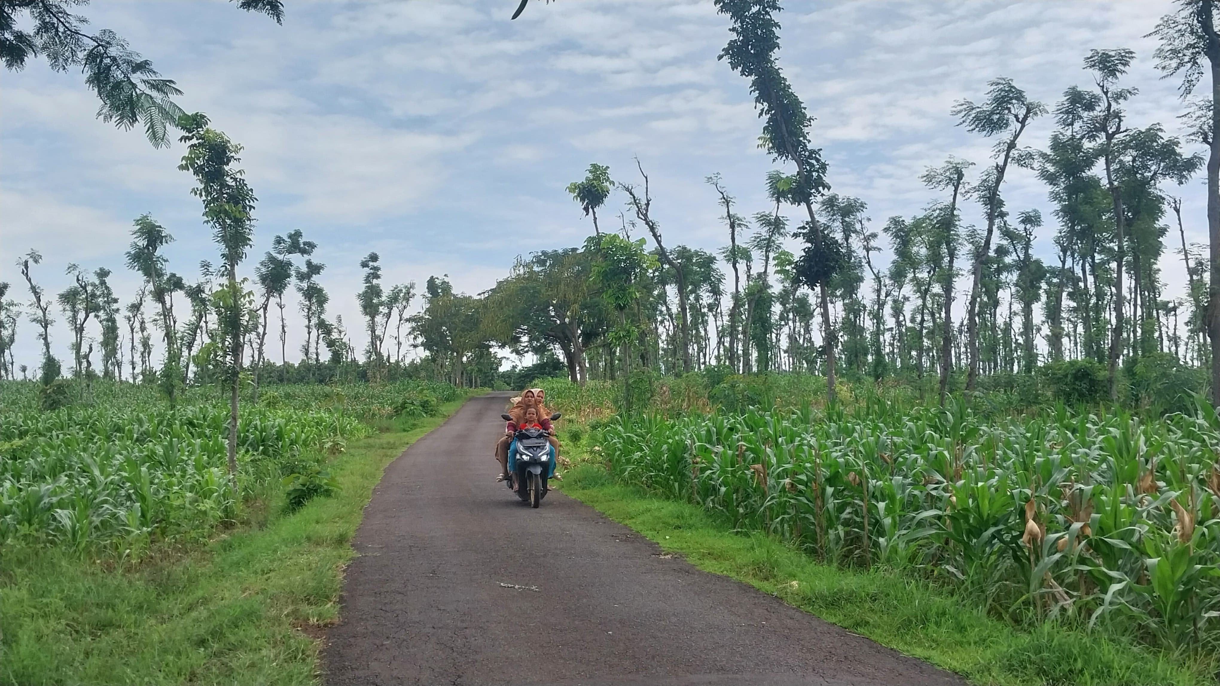 Salah satu lokasi yang rencananya berdiri Jalan Tol Tuban, tapi tak kunjung jelas.