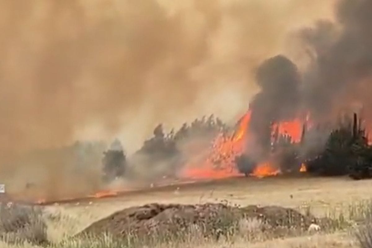 Kebakaran hutan disertai badai pasir di Israel