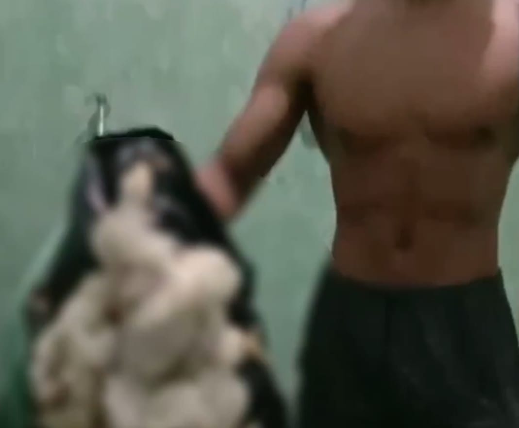 Video atlet binaraga malang olah ayam tiren