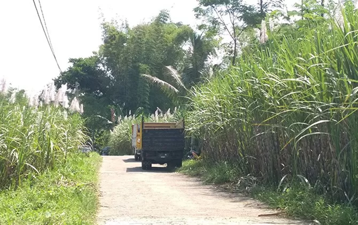 Pemprov Jatim Genjot Swasembada Gula
