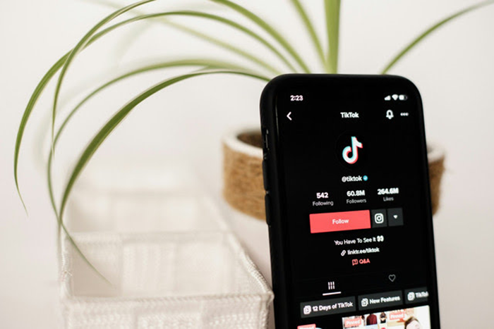 lustrasi untuk Lagu Jawa viral di Tiktok 2025.