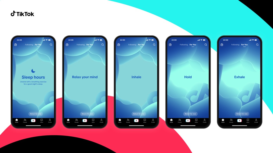 TikTok perkenalkan fitur mediasi untuk pengguna