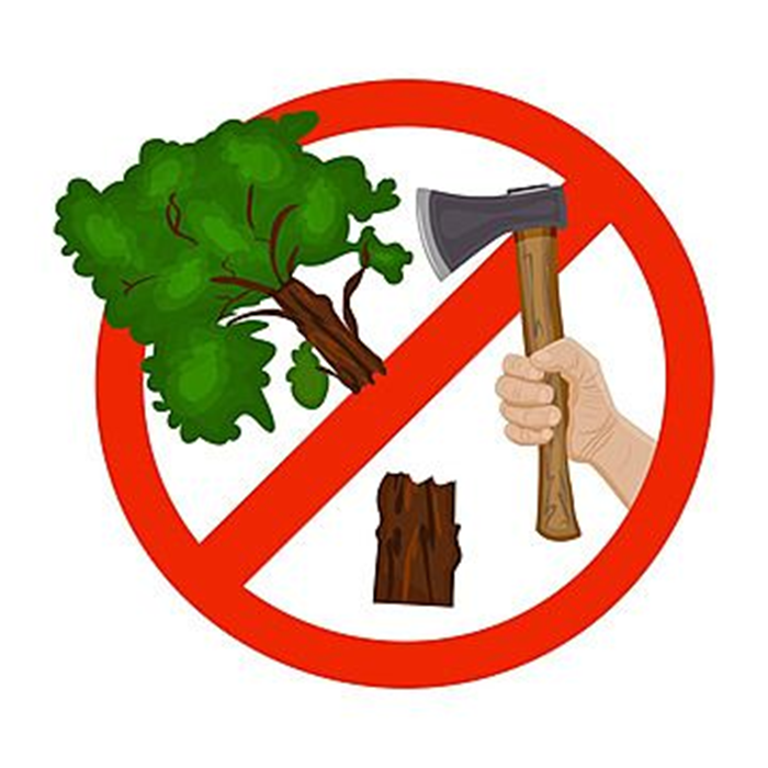 Ilustrasi larangan deforestasi