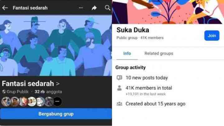 Grup Facebook fantasi sedarah yang telah diblokir