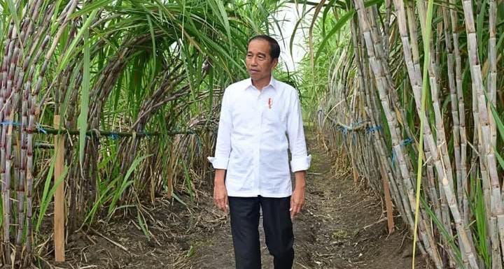 Kondisi Jokowi tetap prima meski alami alergi kulit usai lawatan ke Vatikan.
