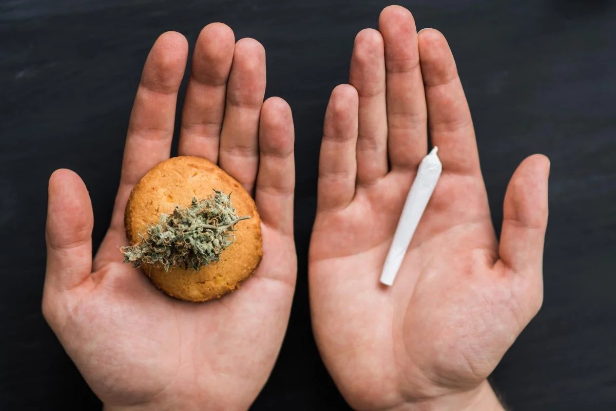 Ilustrasi ganja yang disebut dapat picu serangan jantung.
