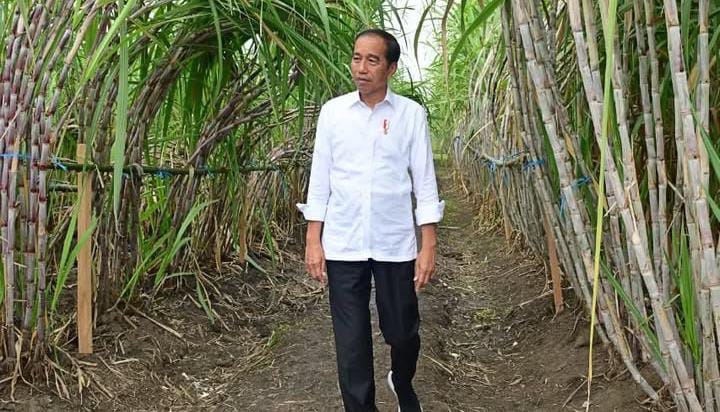 Jokowi ungkap dukungan yang diperoleh masih belum cukup untuk maju jadi ketum PSI