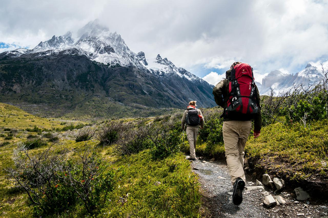 Bukan Puncak, Teman Perjalanan Ini yang Bikin Naik Gunung Jadi Ketagihan!
