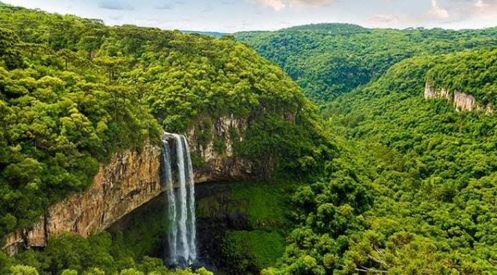 Netizen Indonesia dan Brasil Adu Review Bintang Satu di Google Maps