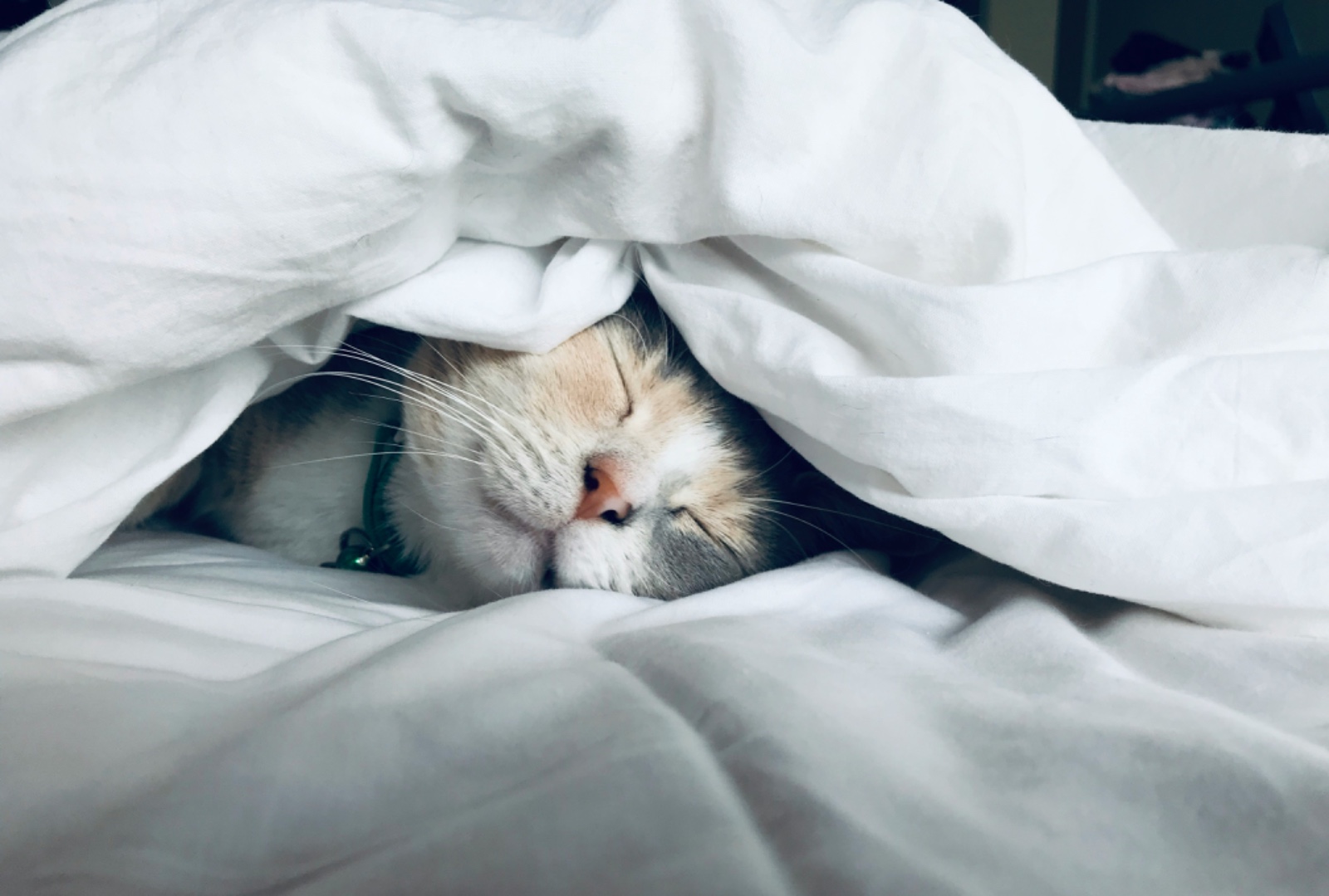 Tidur Teratur Jadi Kunci Tubuh Segar