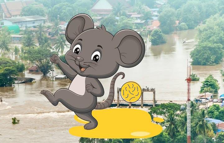 Ilustrasi bahaya urine tikus.&nbsp;