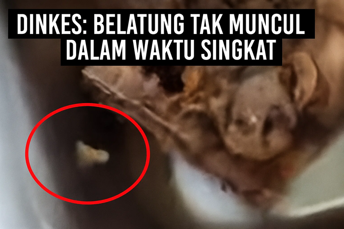 Dinkes Tuban sebut belatung tak mungkin muncul dalam makanan yang baru disajikan.