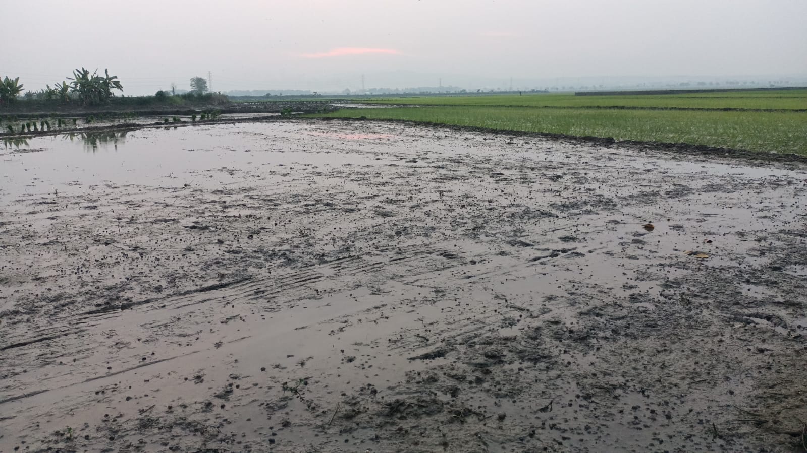 Ketua HIPPA dan DPRD Tuban kawal normalisasi Sungai Avur. Pintu waduk dibuka hingga 3,4 meter, genangan air berangsur surut.