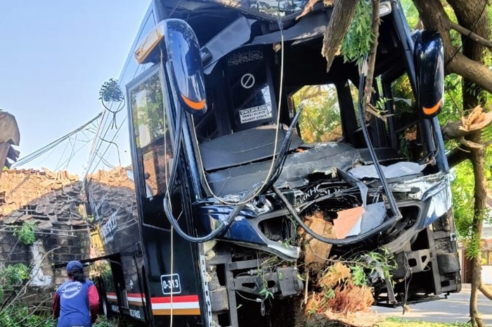 Kondisi Bus AKAP PO Barkholid usai menabrak pohon di bahu jalan raya Tuban-Bancar Desa Margosuko, Kecamatan Bancar, kemarin (21/7).