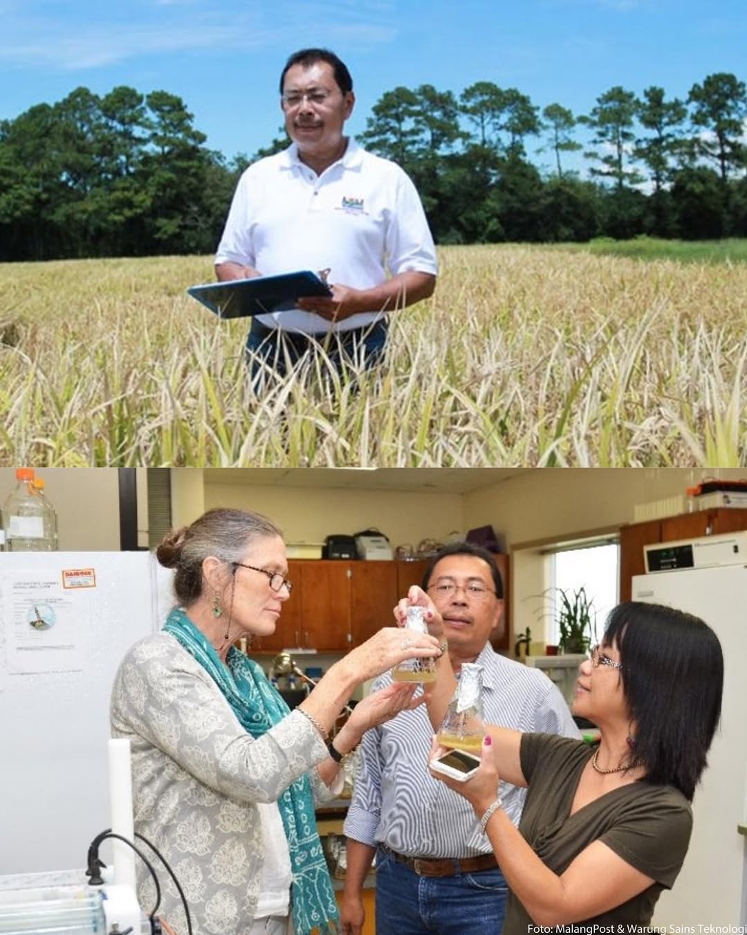 Ilmuwan Asal Malang Ciptakan Beras Tinggi Protein Pertama di Dunia