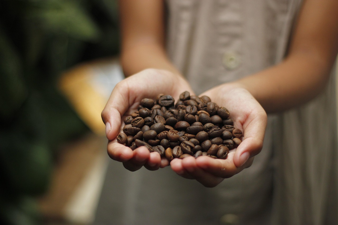 Ilustrasi kopi Sumatra
