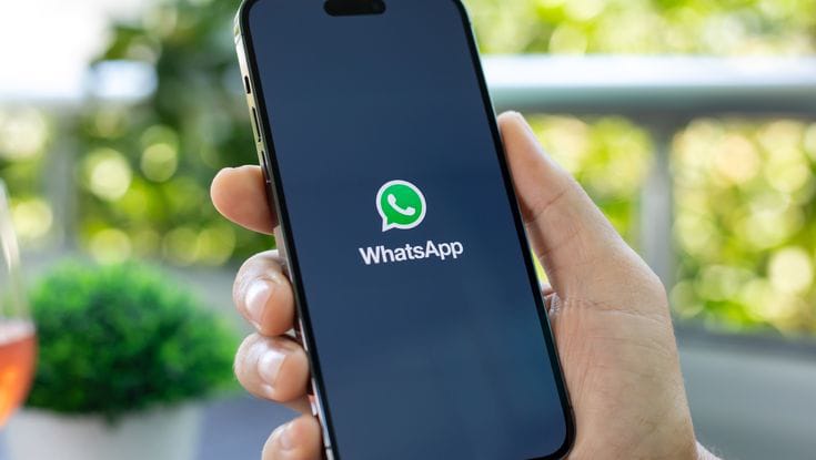 WhatsApp uji coba fitur obrolan tamu.