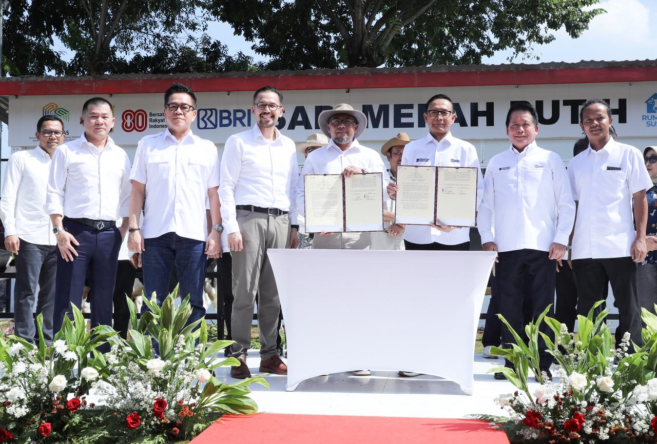 BRI hadir di tengah masyarakat melalui dukungan Program Sapi Merah Putih