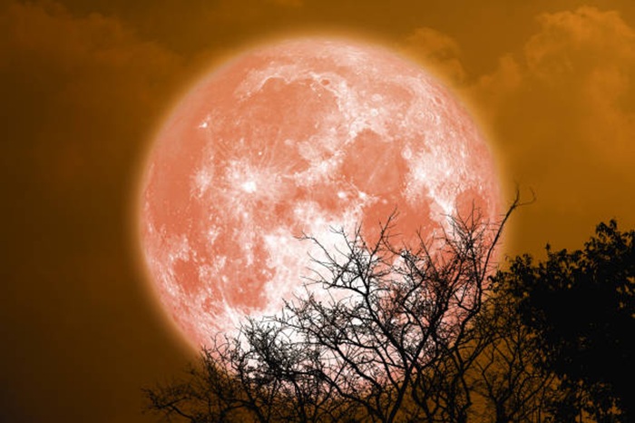 Ilustrasi corn moon.