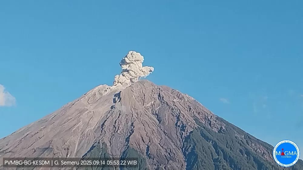 Mahameru kembali meletus pagi ini, menyemburkan abu putih kelabu ke arah utara. Status masih Waspada Level II.
