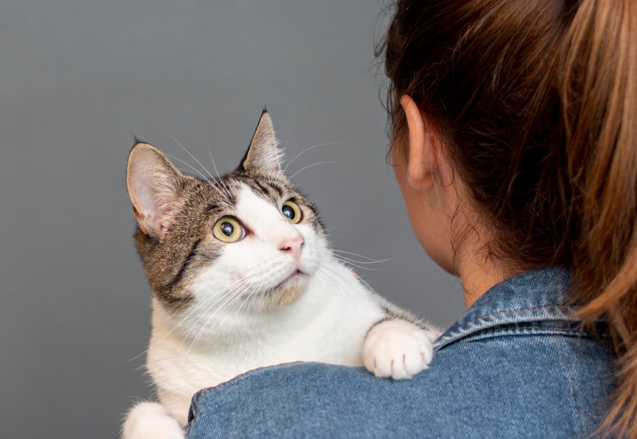 wanita 69 tahun larangan pelihara hewan setelah kucing dan burung ditemukan dalam kondisi menyedihkan.