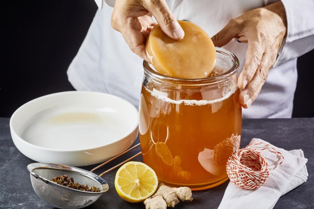 Teh Fermentasi, Kombucha yang bisa menyehatkan tubuh
