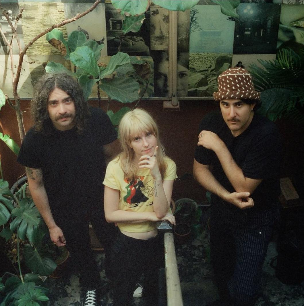 Grup musik Paramore tergabung dalam gerakan No Music for Israel.