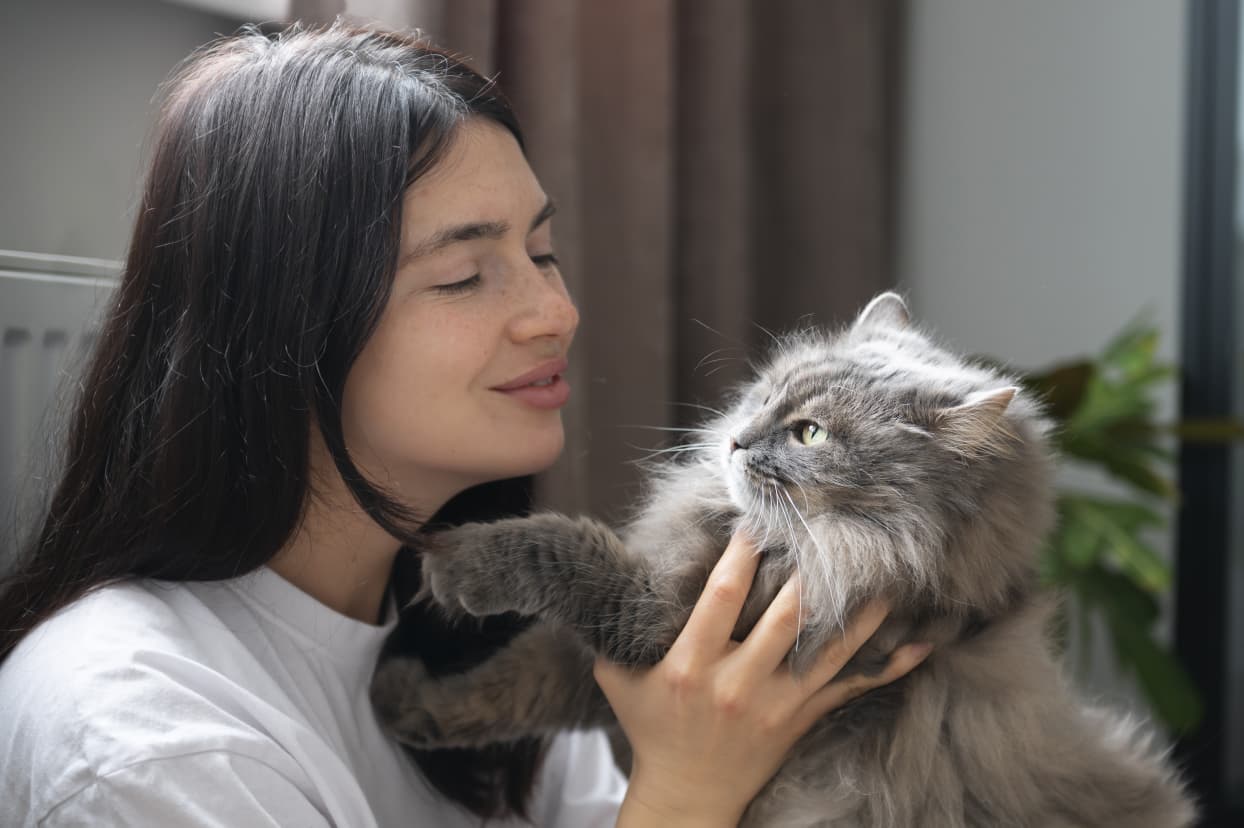 Panduan Lengkap Cara Menghitung Usia Kucing Berdasarkan Usia Manusia