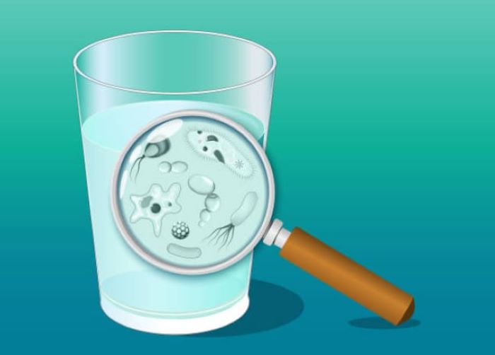 Ilustrasi Bakteri E.coli di air minum konsumsi.