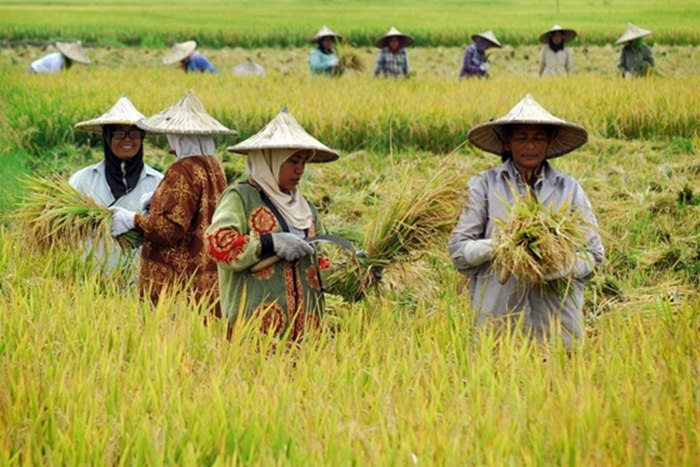 Jatim perkuat sektor pertanian untuk jaga ketahanan pangan dan tingkatkan kesejahteraan petani.