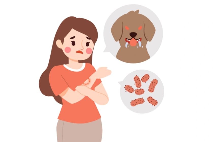 Ilustrasi seorang perempuan terkena gigitan hewan rabies.