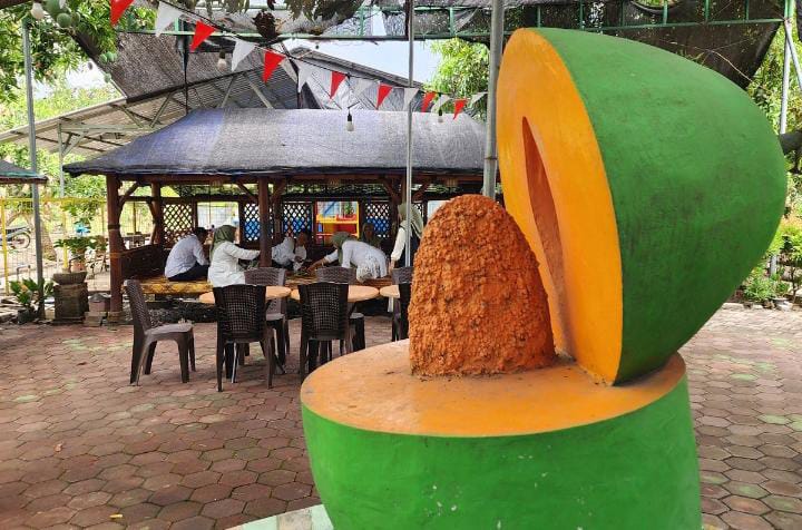 Di Rest Area Kampung Mangga Desa Oro-oro Ombo Kulon, Kecamatan Rembang, Kabupaten Pasuruan, Jawa Timur penikmat mangga dapat memetik langsung buah mangga masak pohon.