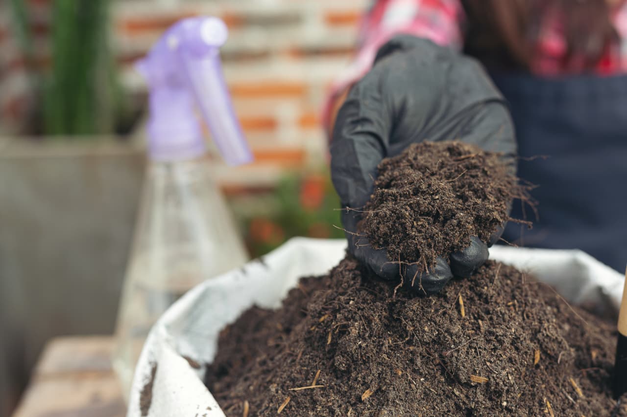 DPRD Jatim mendorong Satgas Pupuk aktif ke lapangan usai temuan penjualan pupuk subsidi di atas HET