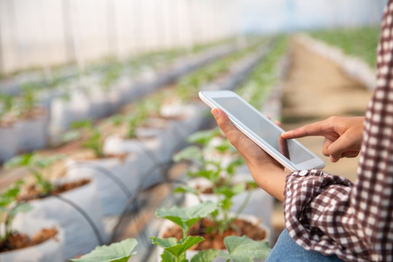 Ilustrasi smart Farming.