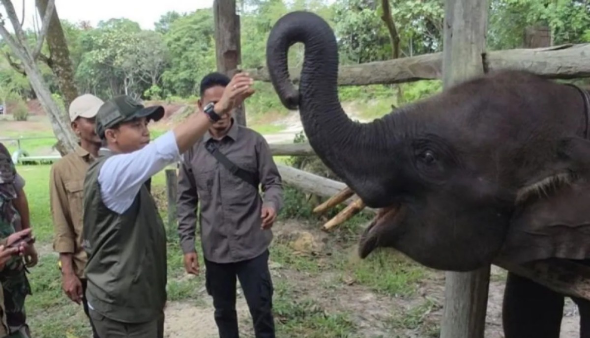 Menhut Raja Juli Antoni (tengah) melakukan peninjauan di TN Tesso Nilo, Riau
