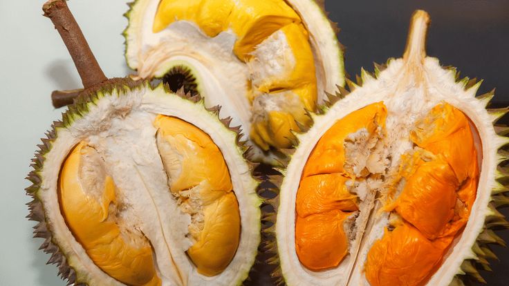 Ilustrasi durian.