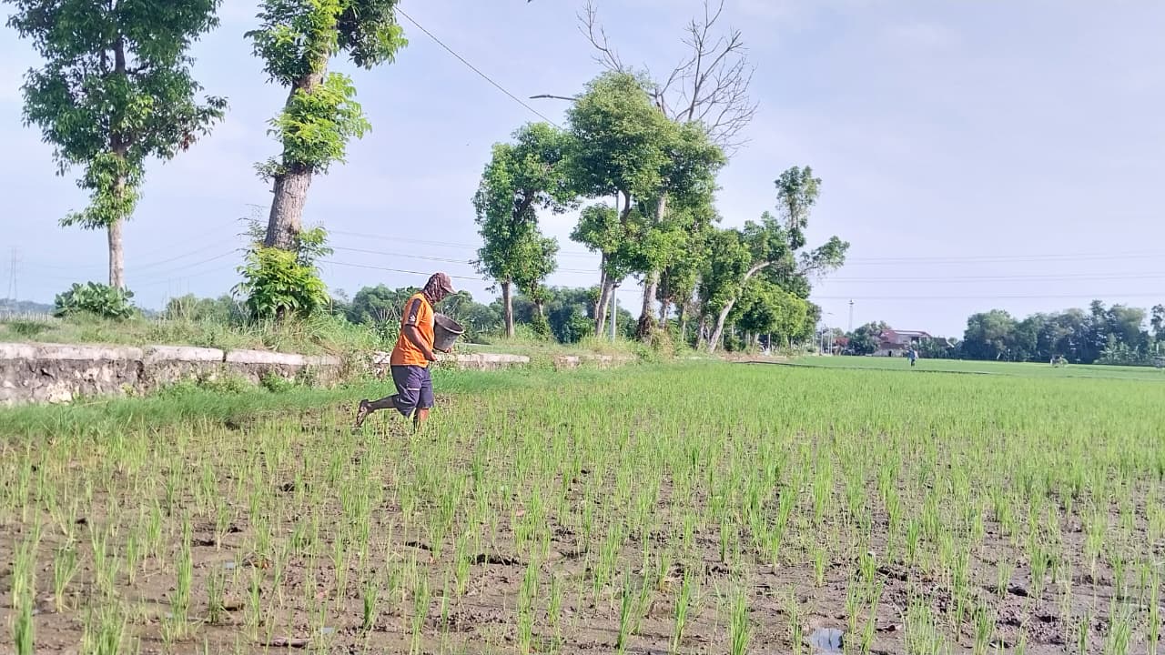Kondisi pasar tradisional di Pasar Bongkaran di area Pasar Baru Tuban. Pekerja sektor ini meningkat dari tahun ke tahun.