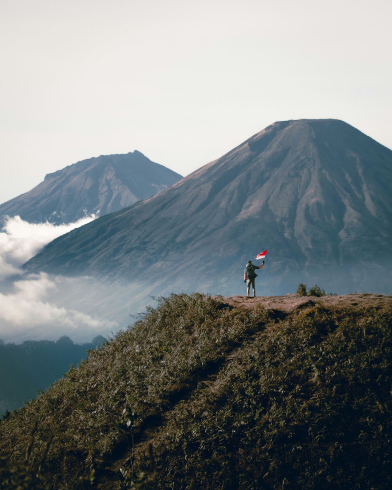 Hari Gunung Internasional, ekosistem pegunungan, gunung di Indonesia.