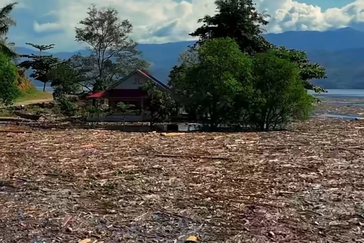 Danau Singkarak di Sumatera Barat dipenuhi kayu gelondongan usai banjir bandang