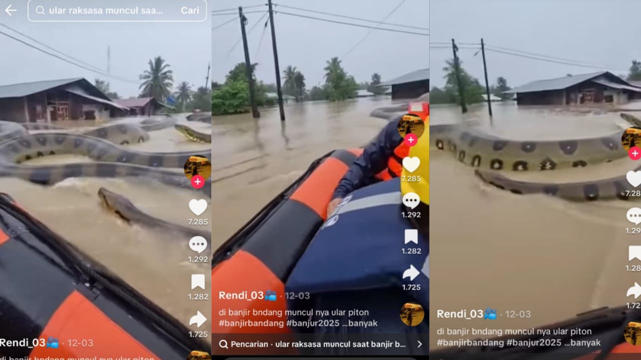 Viral Video AI ular piton raksasa saat banjir sumatera
