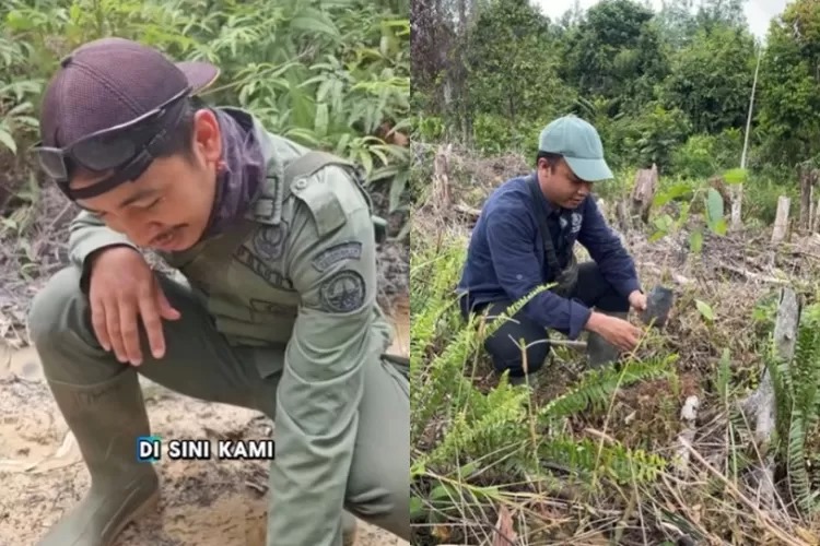 Petugas yang menemuan ranjau paku di tesso nilo