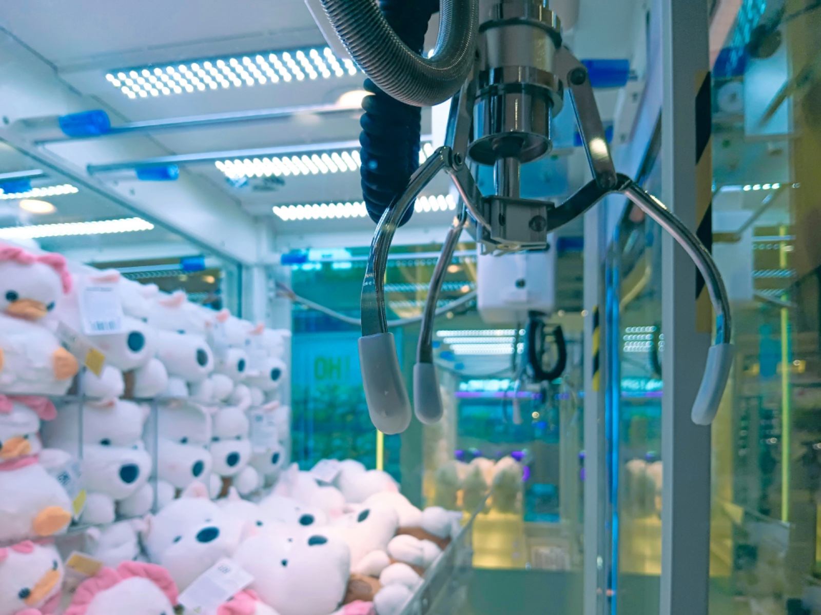 Capit boneka date, ide kencan seru.