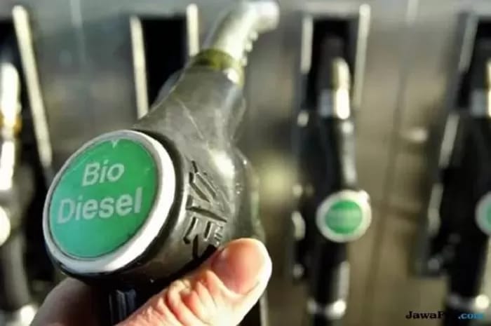 Ilustrasi biodiesel.